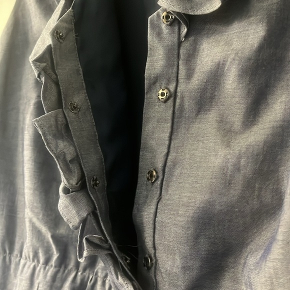 Ann Taylor Ruffle Sheath Dress with Belt - Picture 5 of 13